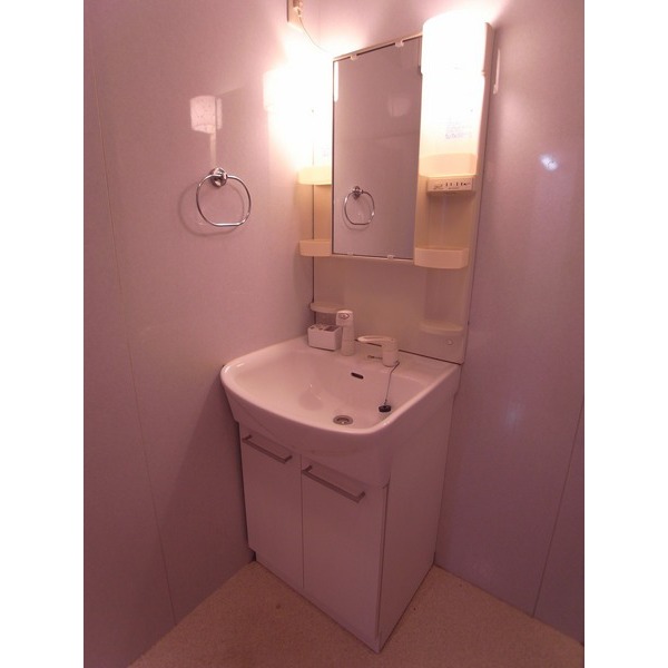 Washroom. Shampoo dresser