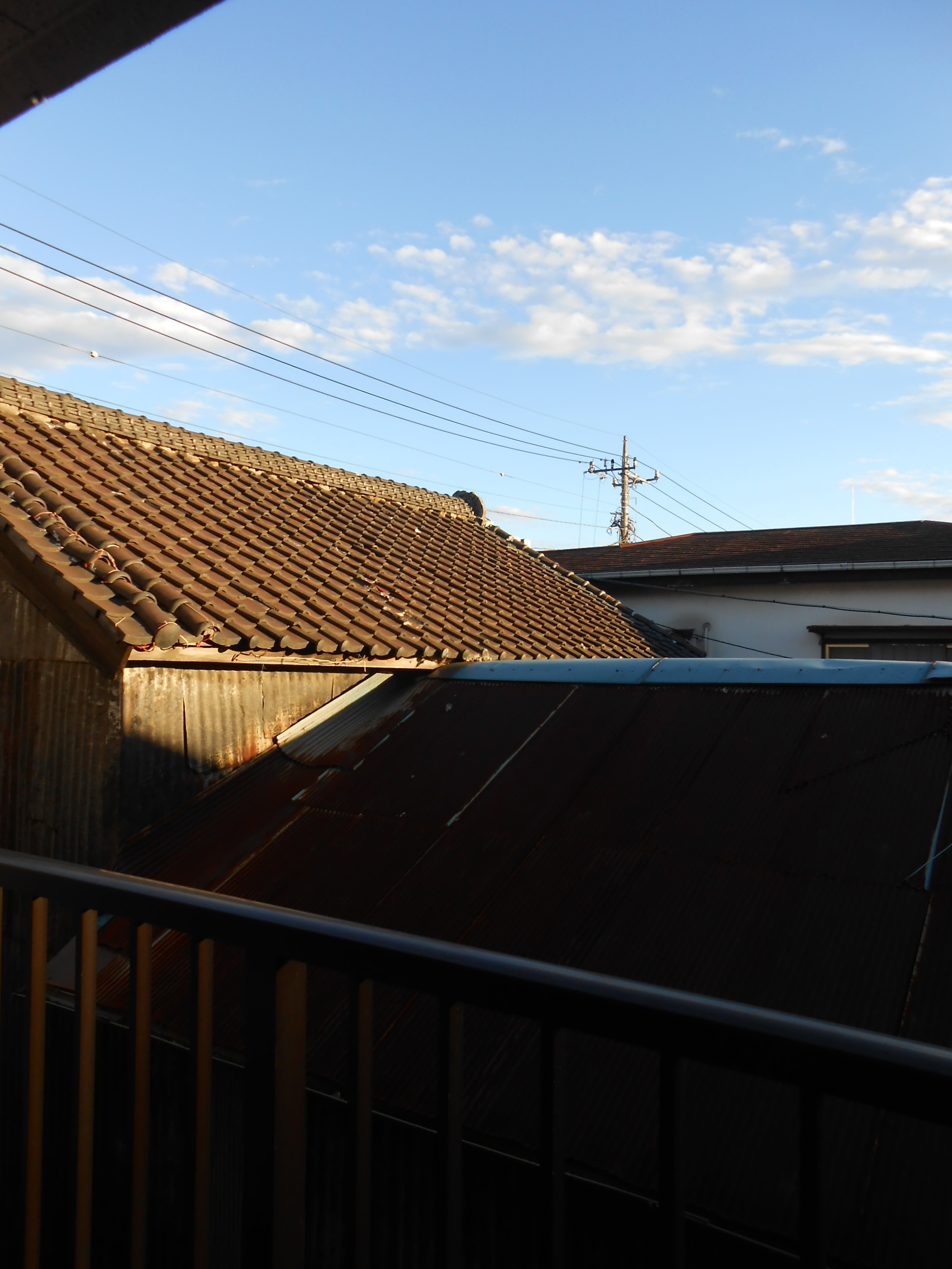 View. View from the window