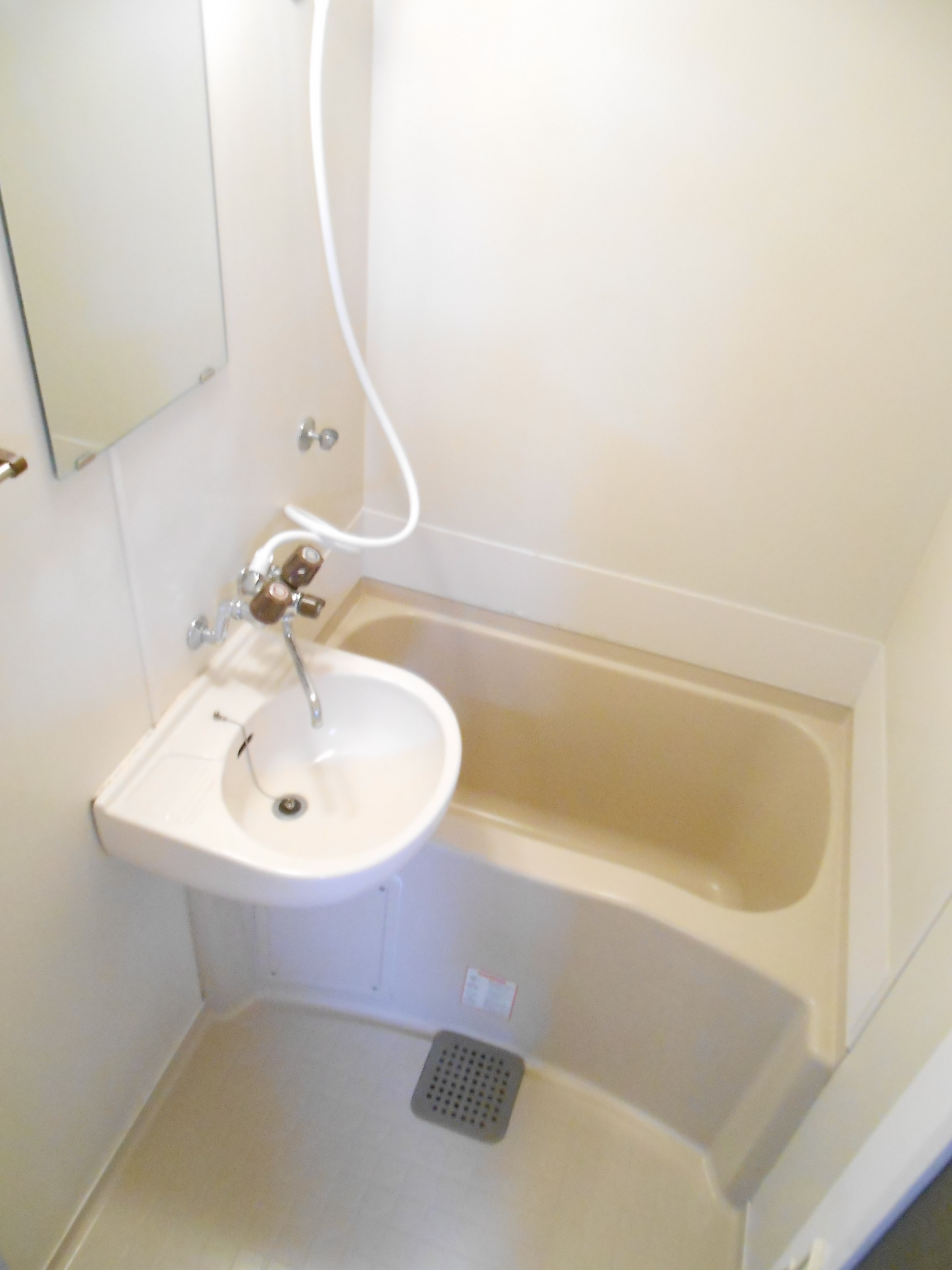 Bath. A clean bathroom