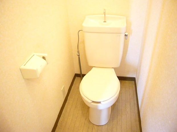 Toilet. Separate reference is a picture