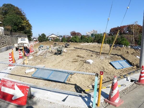 Local land photo. Large natural blessed, All 10 large subdivision of compartment. 