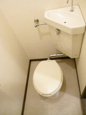 Toilet. I heard Ease is simple and clean