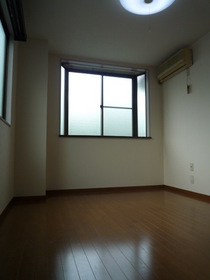 Living and room. North Western-style two-sided lighting