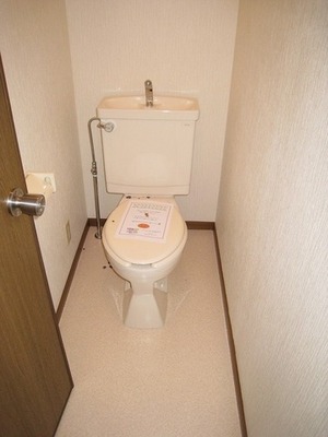Toilet. Toilet there is a room in the depth, There is a feeling of opening