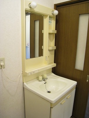 Washroom. Washbasin with Do's housed popular with women