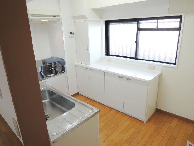 Kitchen. Kitchen is also abundant storage