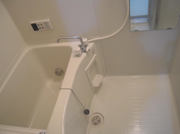 Bath. Bathroom with cleanliness