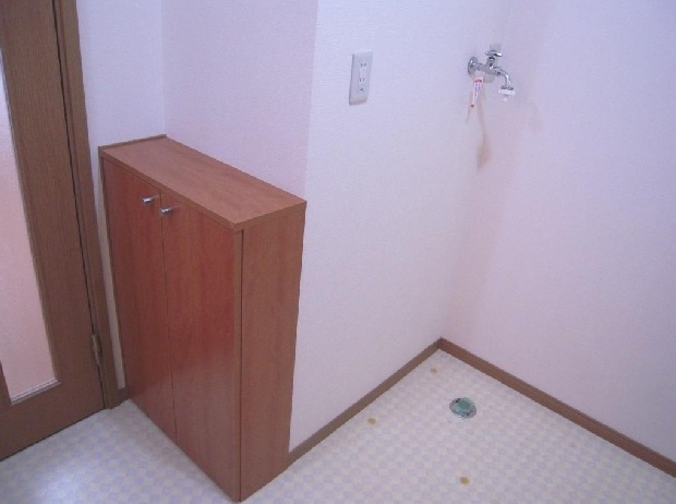 Entrance. Entrance storage is equipped