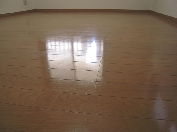 Living and room. Clean room of Western-style 6 quires