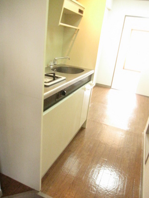 Kitchen. Gas stove is installed Allowed