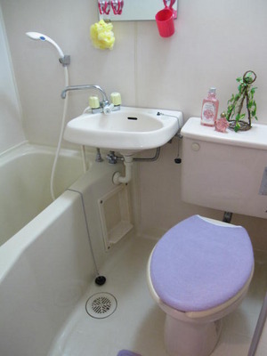 Bath. Furniture accessories in the photo will be removed during the move.