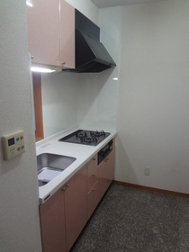 Kitchen. Feeling of luxury kitchen! 