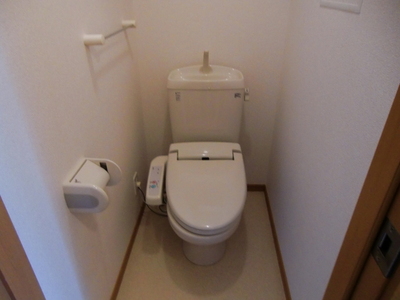 Toilet. Washlet toilet
