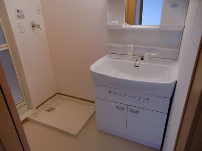 Washroom. Shampoo dresser