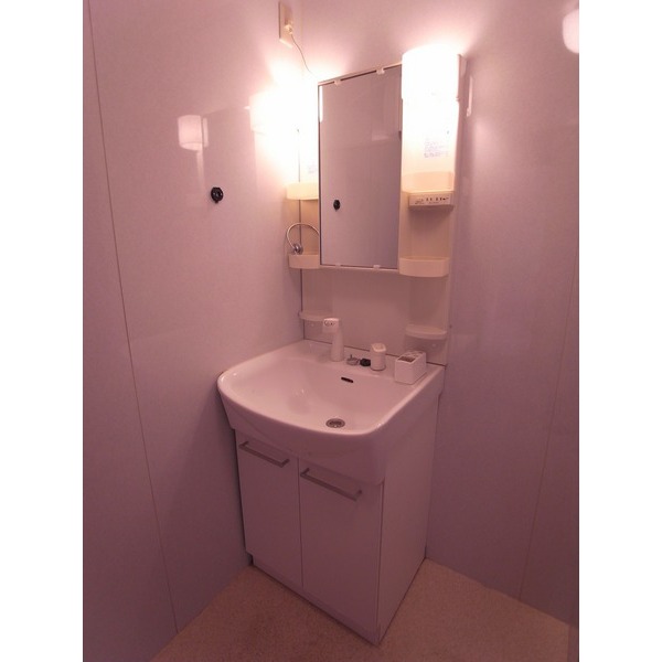 Washroom. Shampoo dresser