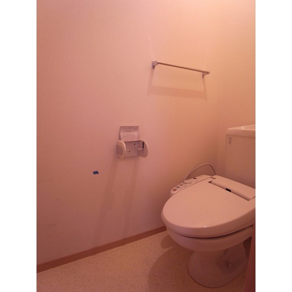 Toilet. Warm water washing toilet seat