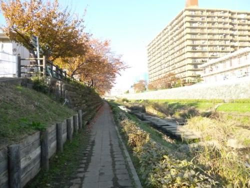 Kawaguchi City Prefecture Asahi 2