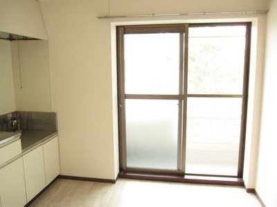 Kitchen. Bright DK there is a window in the kitchen aside