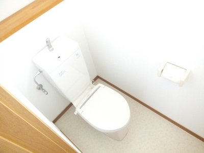 Toilet. It is a simple toilet! 