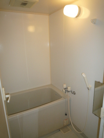 Bath. Additional heating with bus