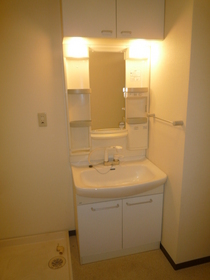 Washroom. Shower Dresser