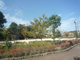 Other. 600m to the park (Other)