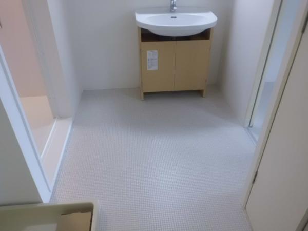 Wash basin, toilet. Spacious wash room