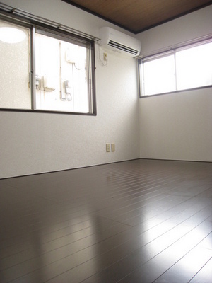 Living and room. Western-style is also two-sided lighting