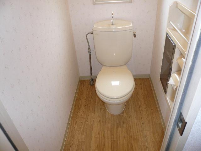Toilet. Spacious toilet.