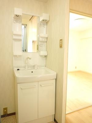 Wash basin, toilet. Vanity (November 16, 2013) Shooting