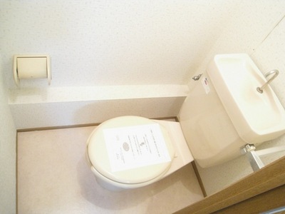 Toilet. Toilet with cleanliness