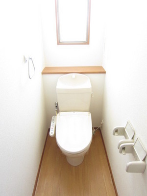 Toilet. Washlet toilet