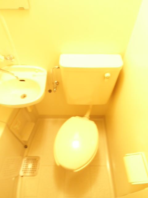 Toilet. Day-to-day life around the water is when it is beautiful will be refreshing.