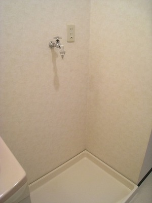 Other. Put in a room washing machine