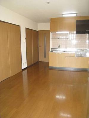 Kitchen. Spacious living room