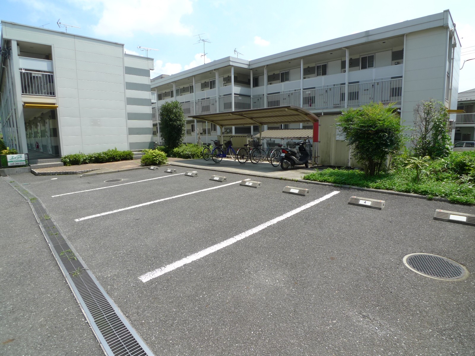 Parking lot. Wide space