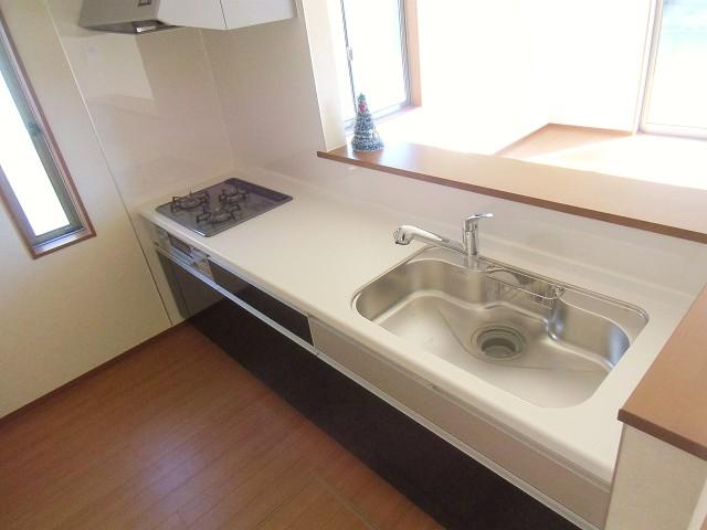 Kitchen. Indoor (December 5, 2013) Shooting