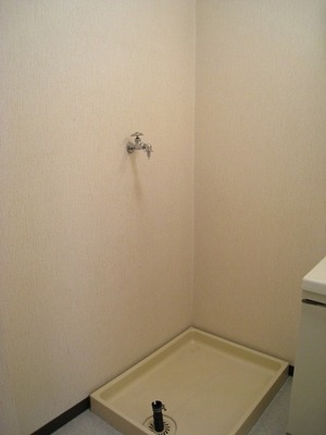 Other. Washing machine in the room equipped