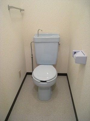 Toilet. Toilet with cleanliness