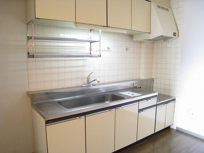 Kitchen. Economic city gas