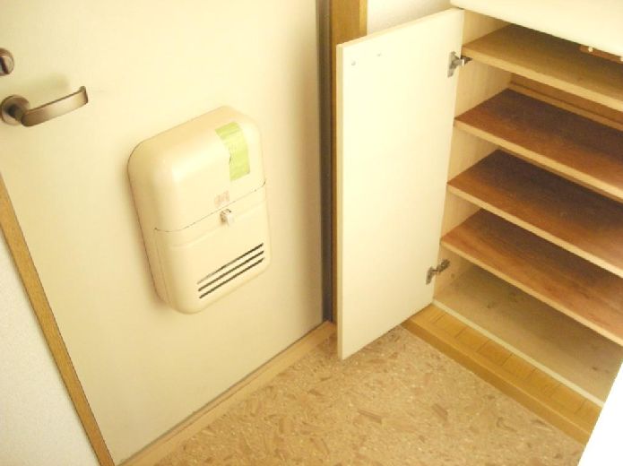 Entrance. There shoes BOX