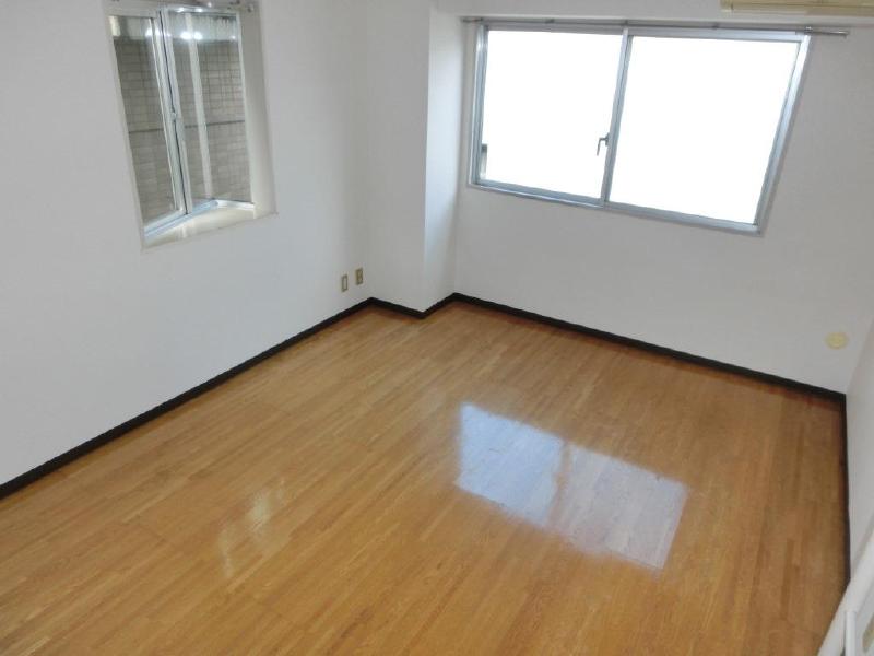 Other. And many windows is bright rooms