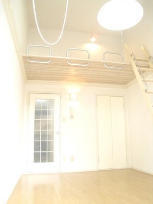 Living and room. Useful loft with the storage