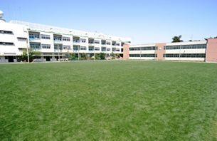 Primary school. 530m until the turf elementary school