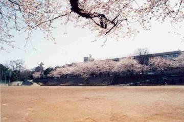 Junior high school. 730m until the turf junior high school