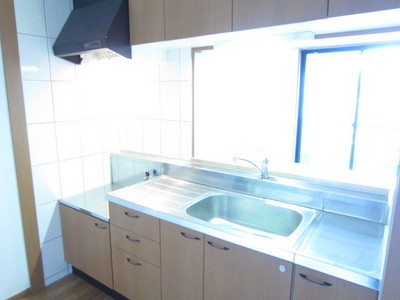 Kitchen. Two-burner gas stove installation Allowed