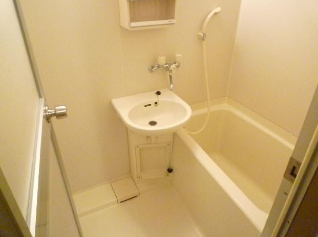 Bath. Popular bus toilet by type