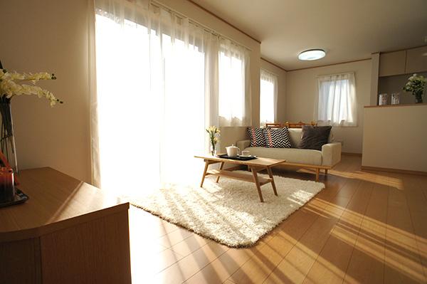 Living. Indoor (11 May 2013) Shooting