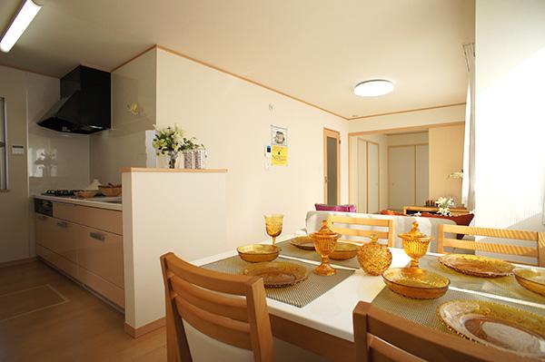 Living. Indoor (11 May 2013) Shooting