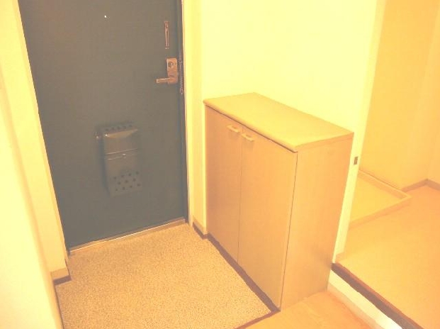 Entrance. Entrance storage is also equipped